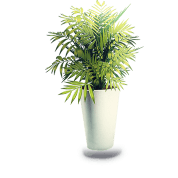 绿色盆栽植物免抠元素图片_元素素材4811766_万素网