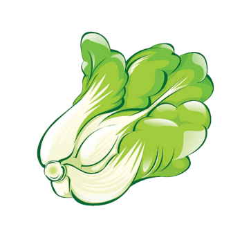 卡通手绘白菜