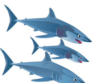 三只鲨鱼