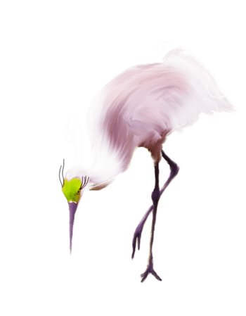 长嘴绿蓝羽毛的小鸟合集