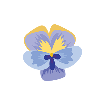 兰花素材兰花草