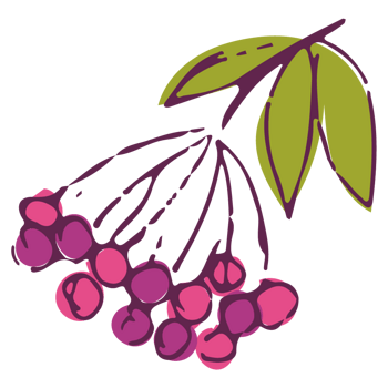 卡通手绘红色果实png