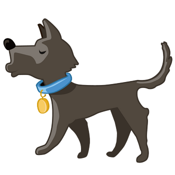 带着铃铛的黑色牧羊犬