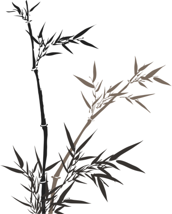 竹子png图片-竹子素材下载-第7页-万素网