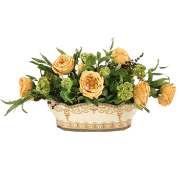 盆图片免费下载_盆素材_第2页_万素网