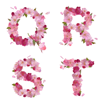 字母花瓣