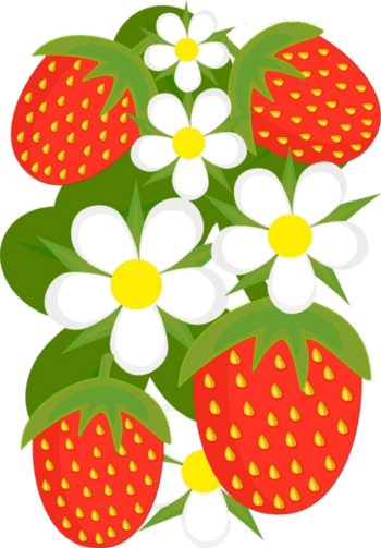 卡通草莓花朵