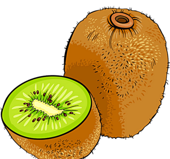 猕猴桃手绘素材