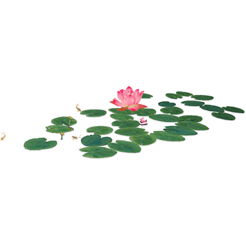 荷塘美景免抠元素图片-元素素材2273836-万素网