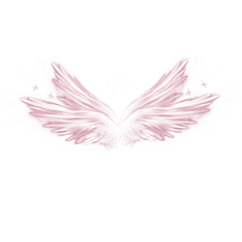 粉色翅膀