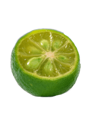 青桔 素材 免费青桔图片素材 青桔素材大全 万素网