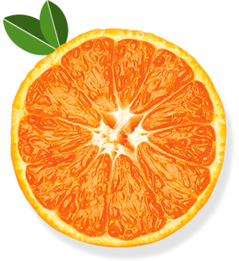 橙子横切面图片