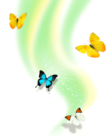 四只飞翔的蝴蝶