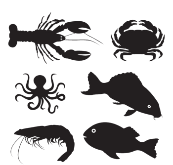 6款海洋生物剪影矢量素材