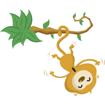 倒挂金钩的猴子