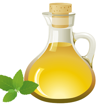 精美油壶矢量图