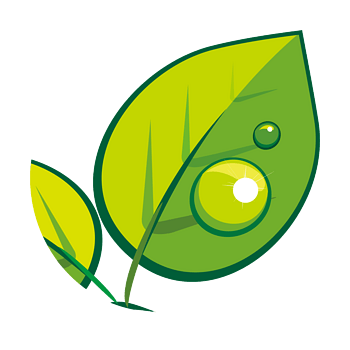 黄绿渐变质感树叶