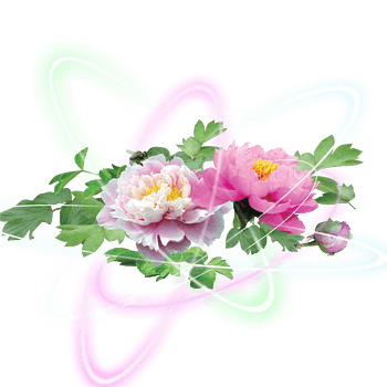 特效花朵