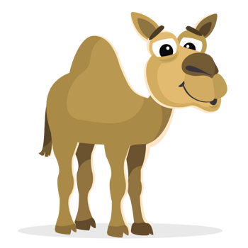 单峰的骆驼