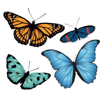 矢量手绘4只彩色蝴蝶