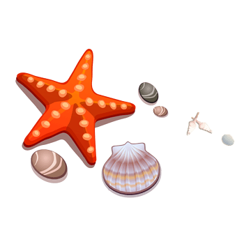 卡通海星贝壳石头