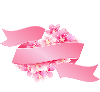 心形粉红丝带