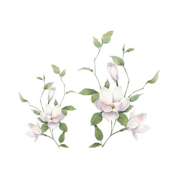 清新淡雅手绘花