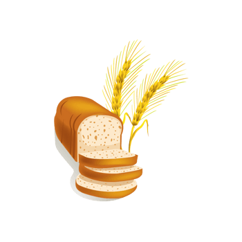 矢量全麦面包