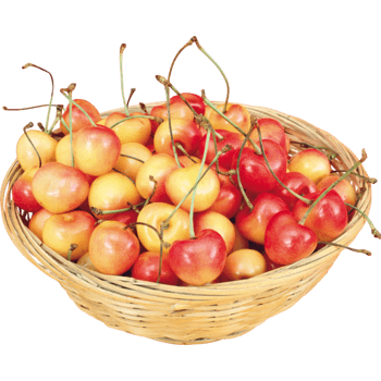 一筐樱桃