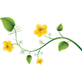 青藤图片 青藤素材下载 万素网