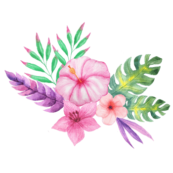 唯美清新牵牛花