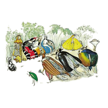 市集 素材 免费市集图片素材 市集素材大全 万素网