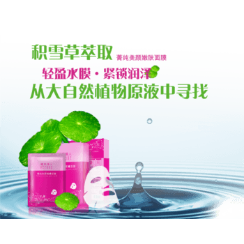 积雪草海报免费下载