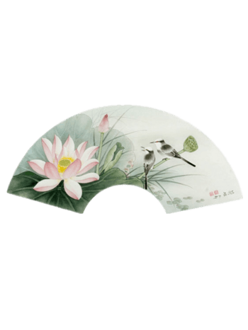 手绘荷花折扇