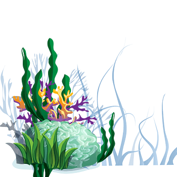 手绘卡通海底植物