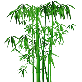 竹子png图片-竹子素材下载-第6页-万素网