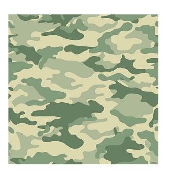 迷彩矢量 素材 免费迷彩矢量图片素材 迷彩矢量素材大全 万素网