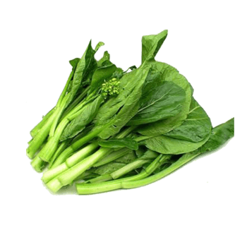 白菜苔 素材 免费白菜苔图片素材 白菜苔素材大全 万素网
