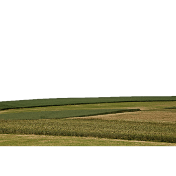 麦地图片免费下载_麦地素材_万素网