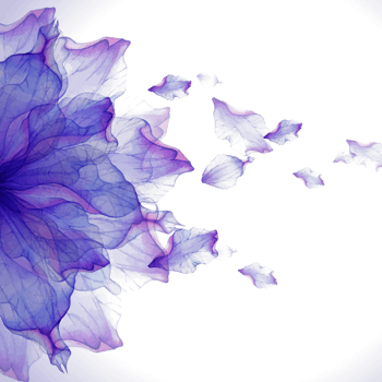 蓝紫色花纹