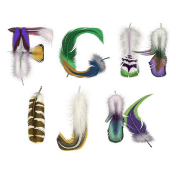 羽毛字字母