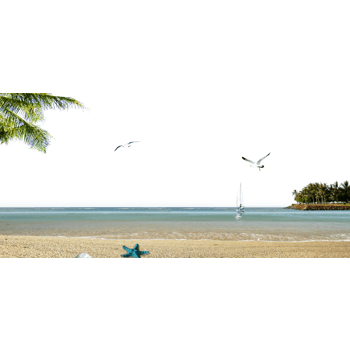 简约英文 装饰元素 1181 903px 编号 Png格式 万素网