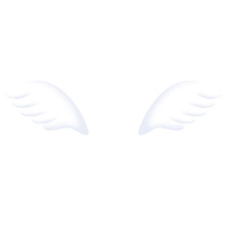 白色胖嘟嘟翅膀