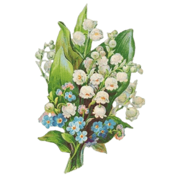 紫色铃铛花环图片素材