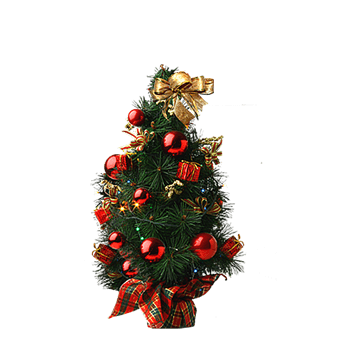 一颗圣诞树图片素材