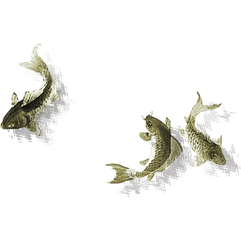 三只小鱼装饰元素