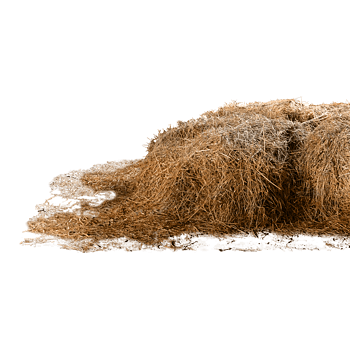 棕色枯草堆
