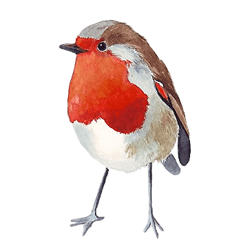 可爱卡通手绘小鸟