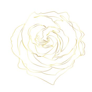 金色线条玫瑰