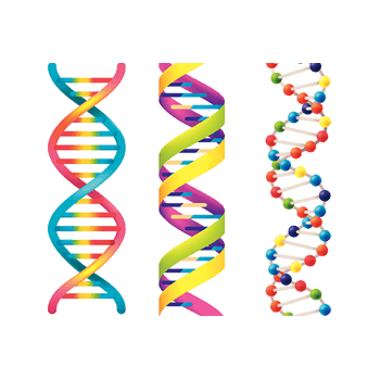 dna结构图片-dna结构设计素材-dna结构素材免费下载-万素网